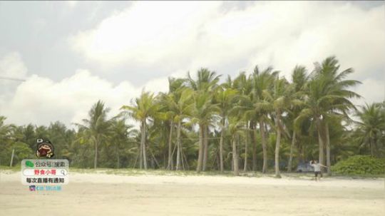 哆啦爱梦梦发布了一个斗鱼视频2019-08-07