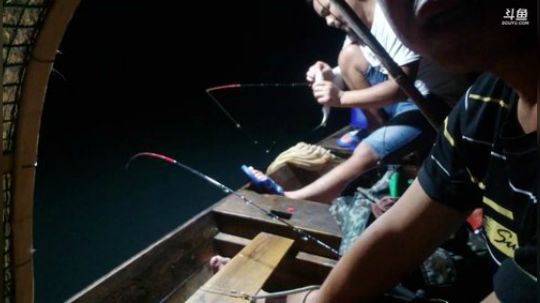 不钓个几十条不霸休 2019-08-07 21点场