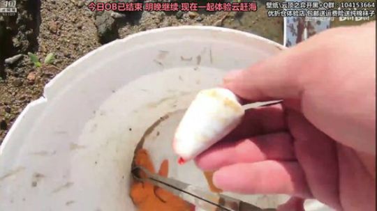 我在斗鱼看胖胖灬直播英雄联盟