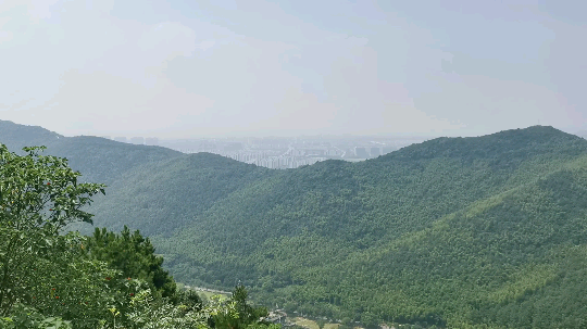 fm311发布了一个斗鱼视频2019-08-07