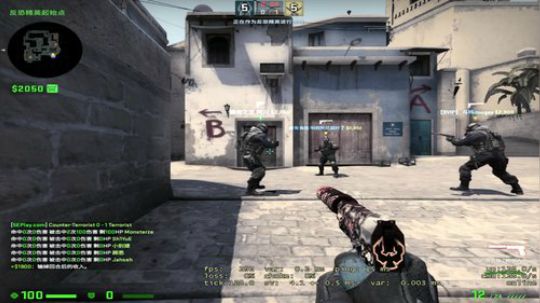 龙井碧螺春铁观音毛尖大红袍 2019-08-03 14点场