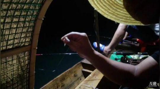 不钓个几十条不霸休 2019-08-07 19点场