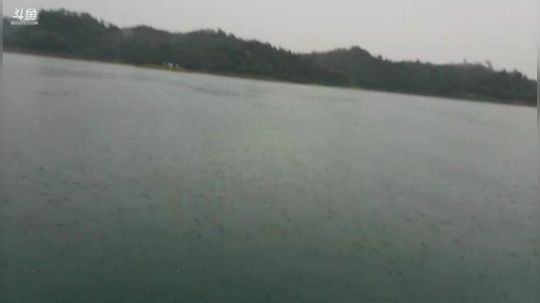 下午6点开播。 2019-08-07 18点场