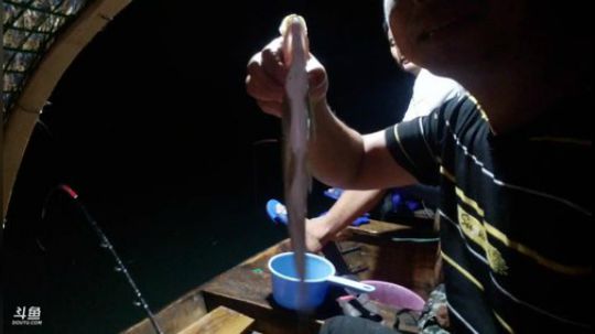 不钓个几十条不霸休 2019-08-08 04点场