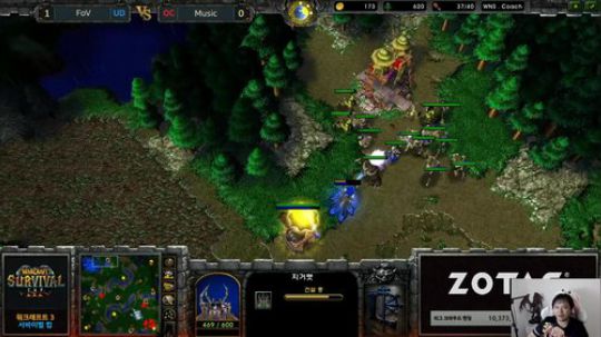 我在斗鱼看Flygogogogo直播魔兽争霸