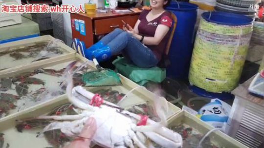 西北老狼哥哥发布了一个斗鱼视频2019-08-09