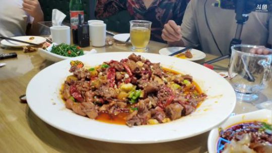 【浪迹直播】第二集，大美新疆哈密市 2019-08-09 16点场