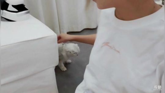 miwu1985发布了一个斗鱼视频2019-08-09