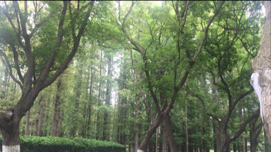 关注下，新人主播