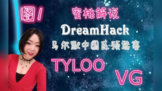 TYLOO-VG DH马尔默 蜜桃解说