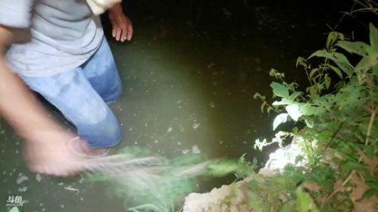 洪湖小肖	直播间 2019-08-06 20点场