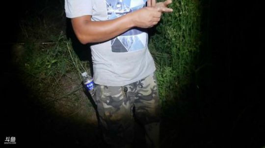 洪湖小肖	直播间 2019-08-06 22点场