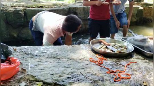 哆啦爱梦梦发布了一个斗鱼视频2019-08-11