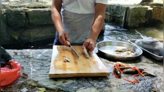 哆啦爱梦梦发布了一个斗鱼视频2019-08-11