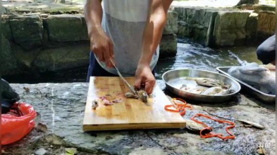 哆啦爱梦梦发布了一个斗鱼视频2019-08-11