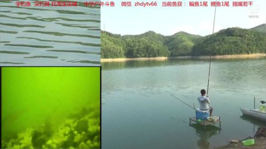 黄沙水库野钓 2019-08-11 17点场