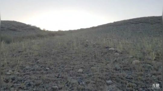 【浪迹直播】第二集，大美新疆安集海大峡谷 2019-08-13 20点场