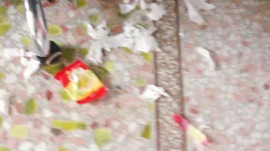 普通话很包准的龟发布了一个斗鱼视频2019-08-13