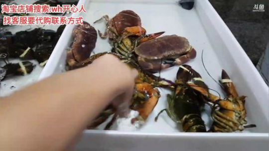 龙马精神丶老狼哥发布了一个斗鱼视频2019-08-13