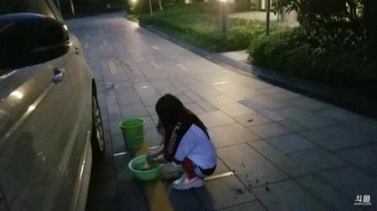 直播洗车哈 2019-08-13 18点场