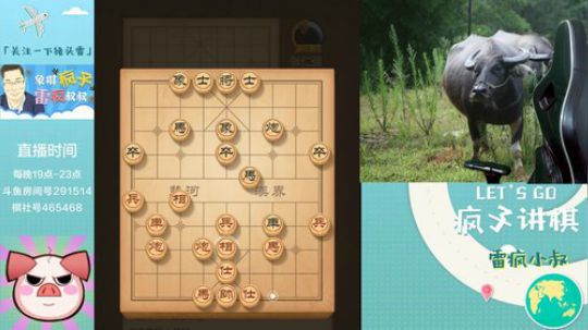 雷疯讲棋：体验一个象棋疯子给您带来的快乐 2019-08-13 19点场