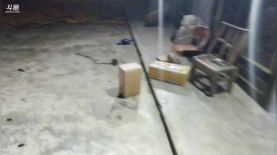 快乐美食开心打野。 2019-08-13 19点场