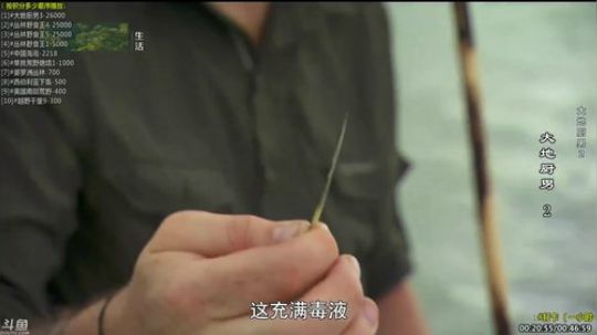 户外遛狗王飞哥发布了一个斗鱼视频2019-08-14