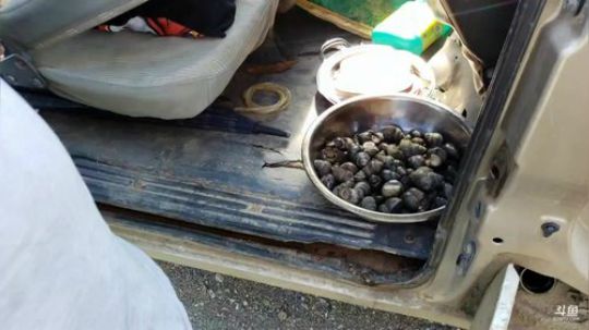 水库激情走起。 2019-08-14 15点场