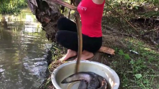 【荒野小姐姐】~野钓小姐姐