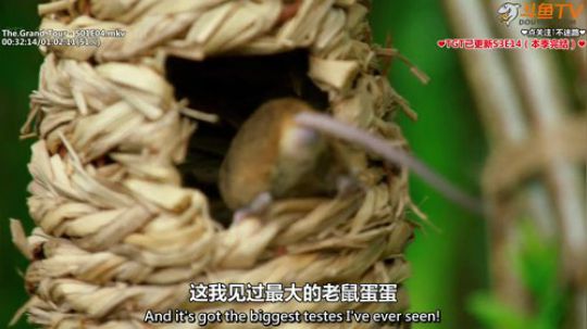护法惊丶发布了一个斗鱼视频2019-08-15