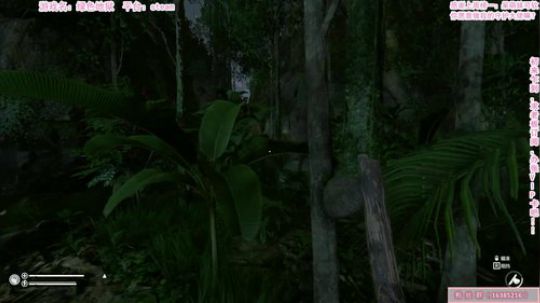 今日进山，我兔了了特长就是迷路 2019-08-07 21点场