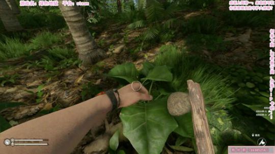 今日进山，我兔了了特长就是迷路 2019-08-07 19点场