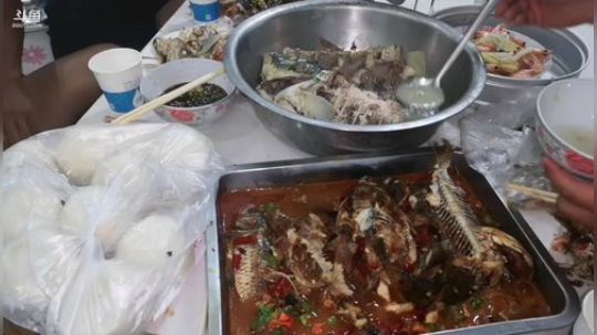 科头溜子发布了一个斗鱼视频2019-08-15