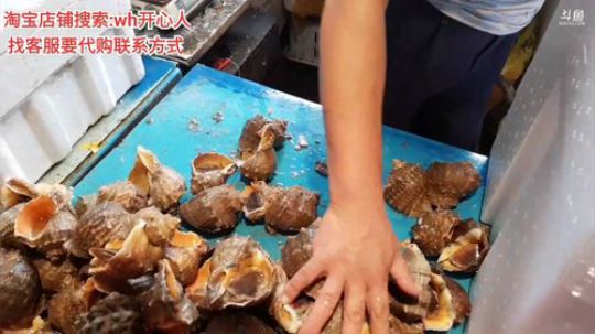 西北老狼哥哥发布了一个斗鱼视频2019-08-15