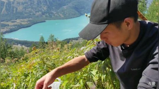 【浪迹直播】第二集，大美新疆喀纳斯 2019-08-16 15点场