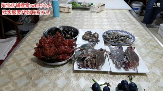 龙马精神丶老狼哥发布了一个斗鱼视频2019-08-16