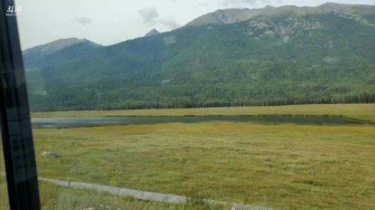 【浪迹直播】第二集，大美新疆喀纳斯 2019-08-17 10点场