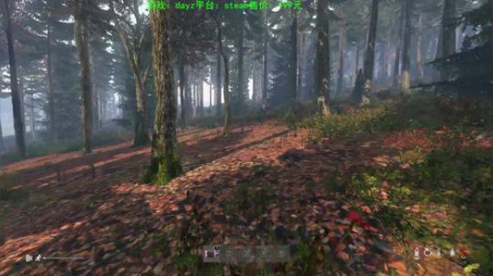 dayz 僵尸末日1.04 2019-08-16 15点场