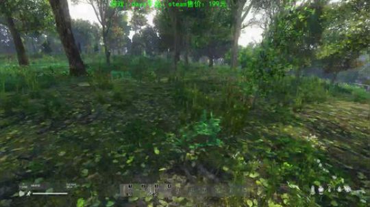dayz 僵尸末日1.04 2019-08-16 22点场