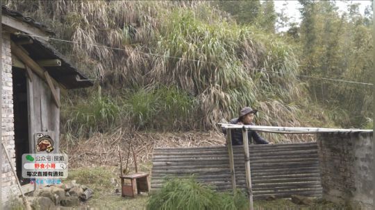 我在斗鱼看野食小哥直播美食