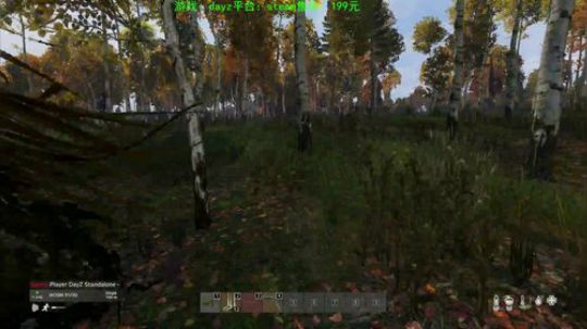dayz 僵尸末日1.04 2019-08-16 20点场