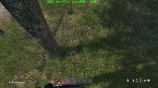 dayz 僵尸末日1.04 2019-08-17 12点场