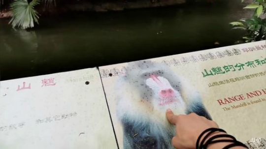 HHHISHHH发布了一个斗鱼视频2019-08-19