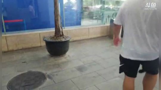 明天浙江见。 2019-08-19 08点场