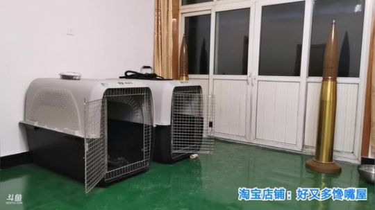 好家伙???????????