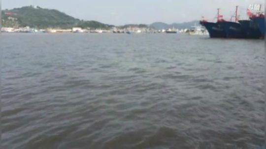 哆啦爱梦梦发布了一个斗鱼视频2019-08-19