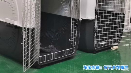 大鹏7889发布了一个斗鱼视频2019-08-19