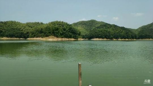 中华户外钓鱼的直播间 2019-08-20 10点场