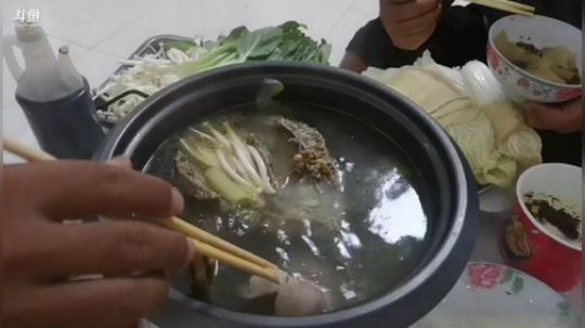 科头溜子发布了一个斗鱼视频2019-08-20