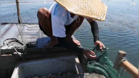 科头溜子发布了一个斗鱼视频2019-08-20